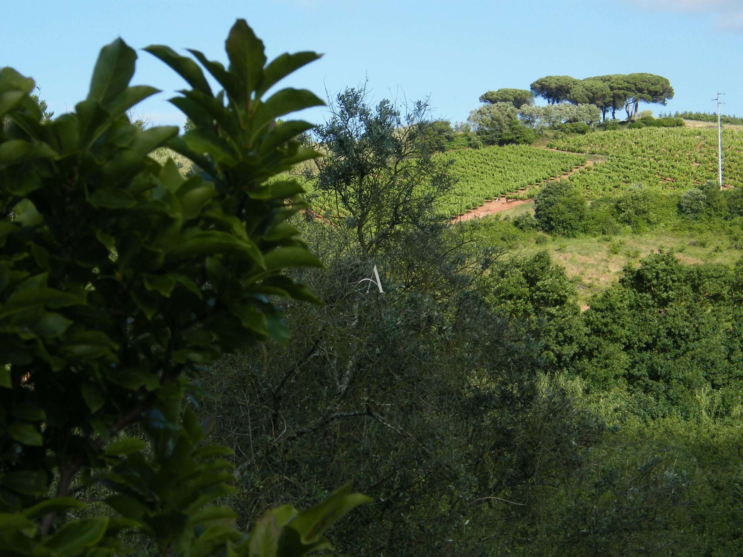 4 Bed, 3 Bath, HouseFor Sale, Caldas da Rainha, Leiria 4 Bed, 3 Bath, HouseFor Sale, Caldas da Rainha, Leiria