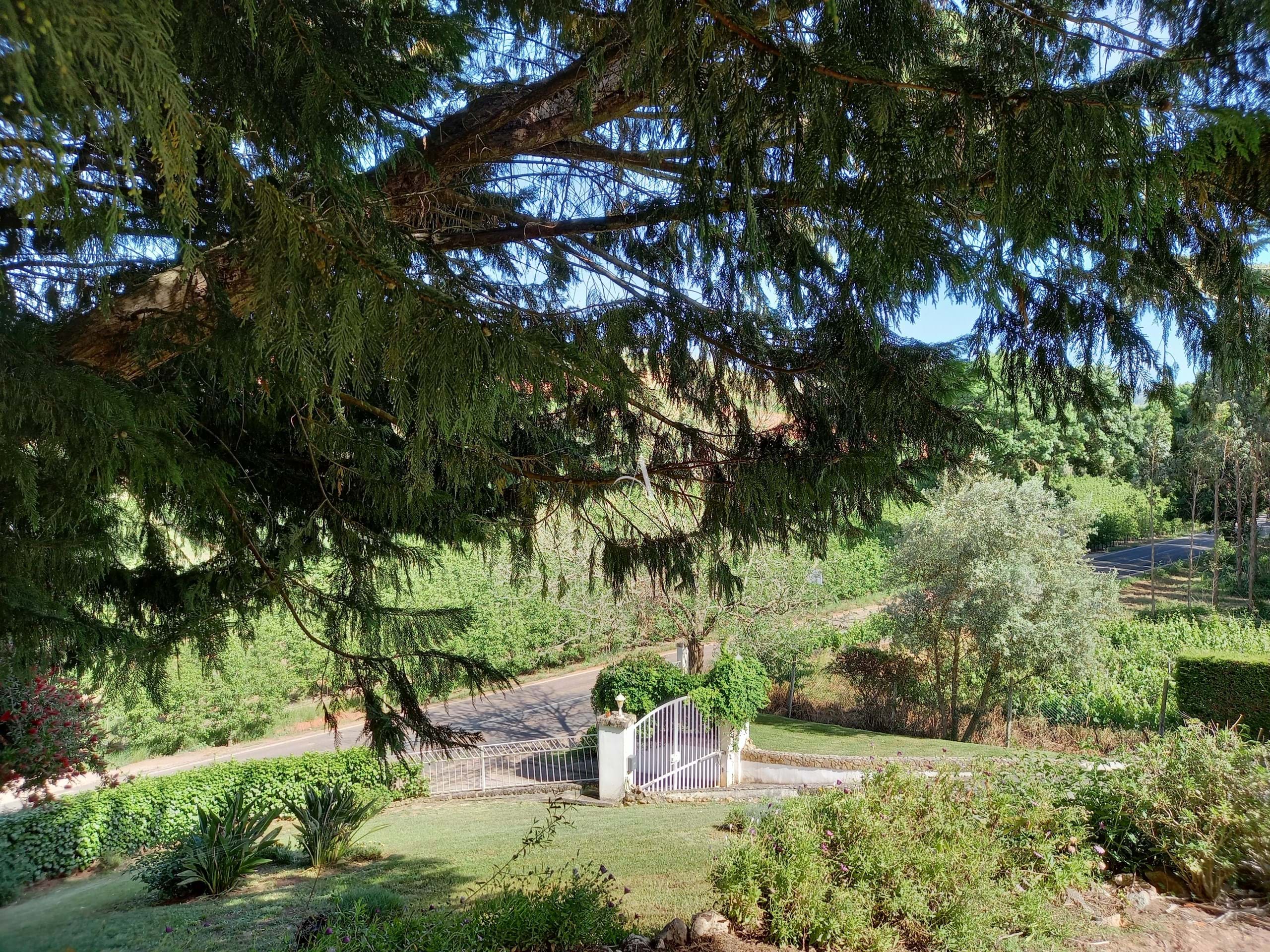 4 Bed, 3 Bath, HouseFor Sale, Caldas da Rainha, Leiria 4 Bed, 3 Bath, HouseFor Sale, Caldas da Rainha, Leiria