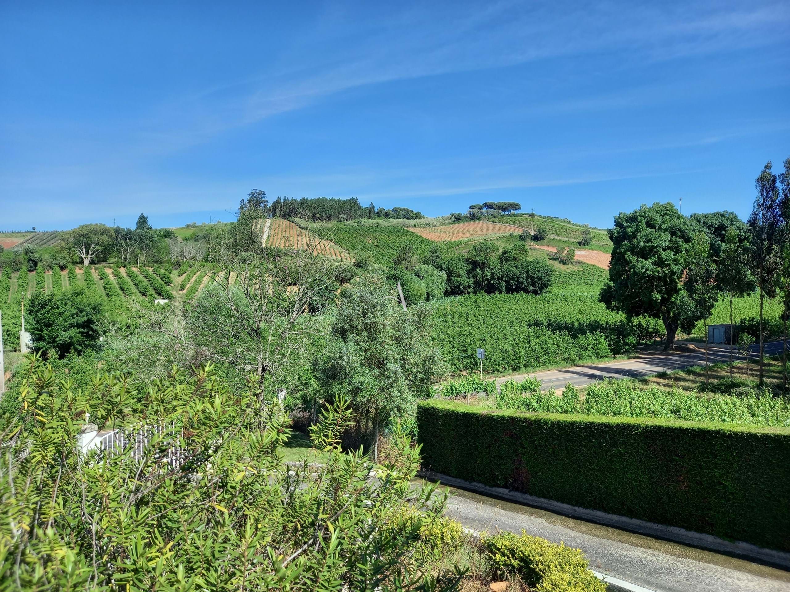 4 Bed, 3 Bath, HouseFor Sale, Caldas da Rainha, Leiria 4 Bed, 3 Bath, HouseFor Sale, Caldas da Rainha, Leiria