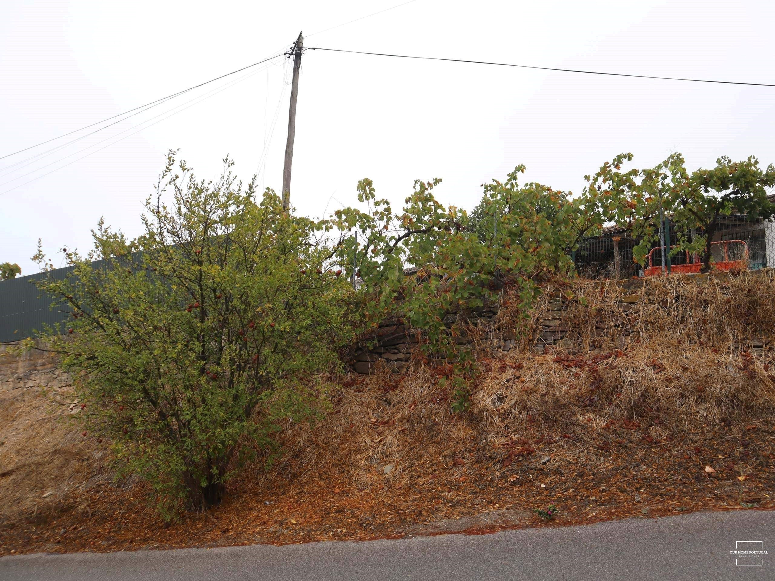 3 Bed, 1 Bath, HouseFor Sale, Loulé, Faro, 8100-183