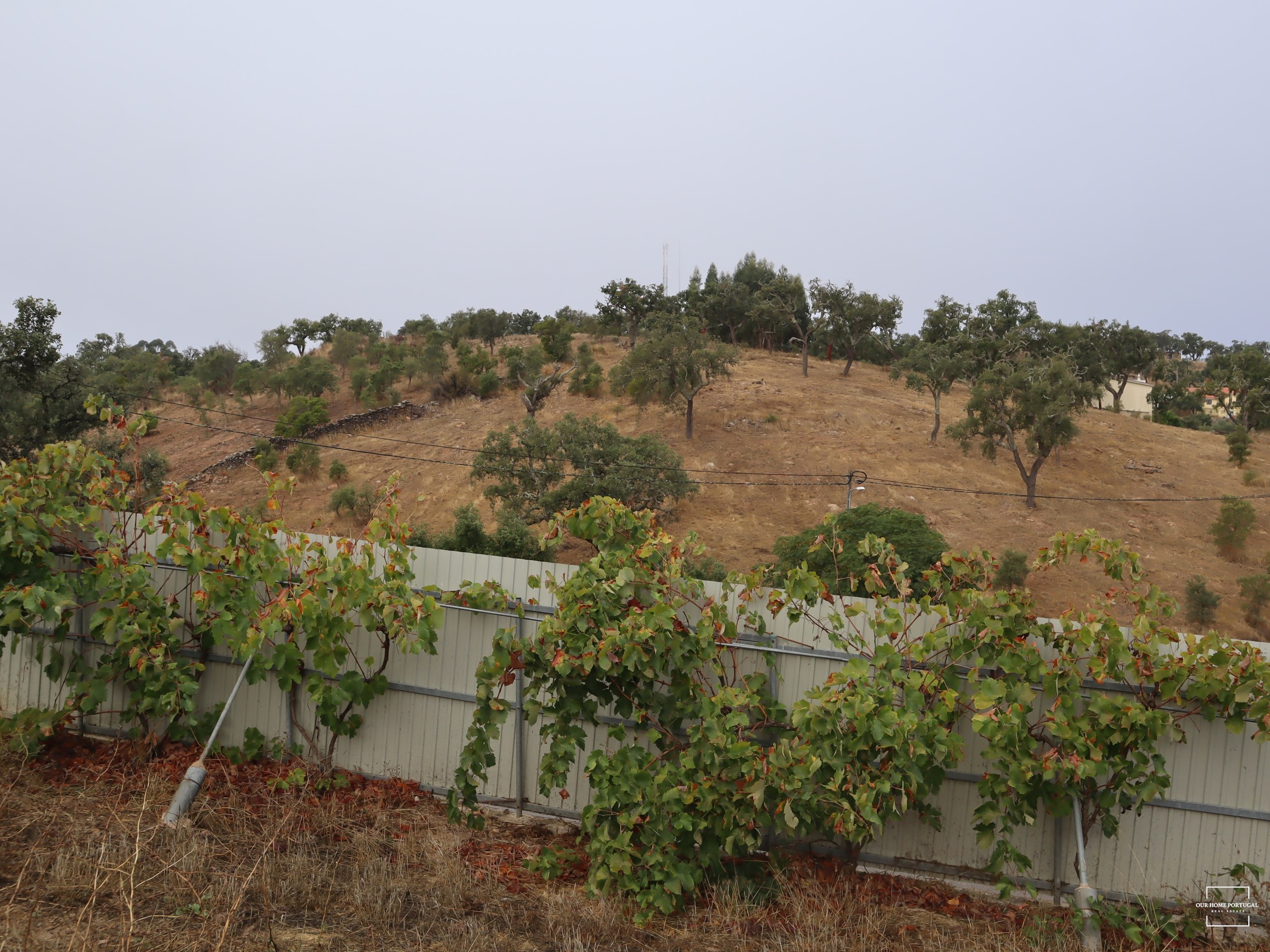 3 Bed, 1 Bath, HouseFor Sale, Loulé, Faro, 8100-183