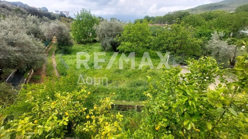 2 Bed, 1 Bath, HouseFor Sale, Platania, Sipiada, Magnesia