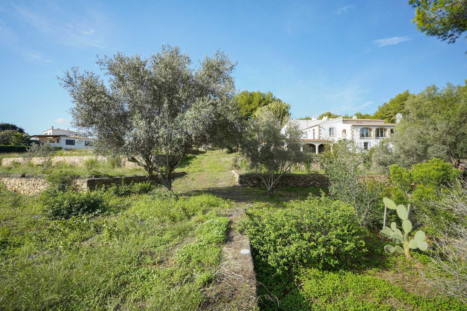 Land, For Sale Land, For Sale
