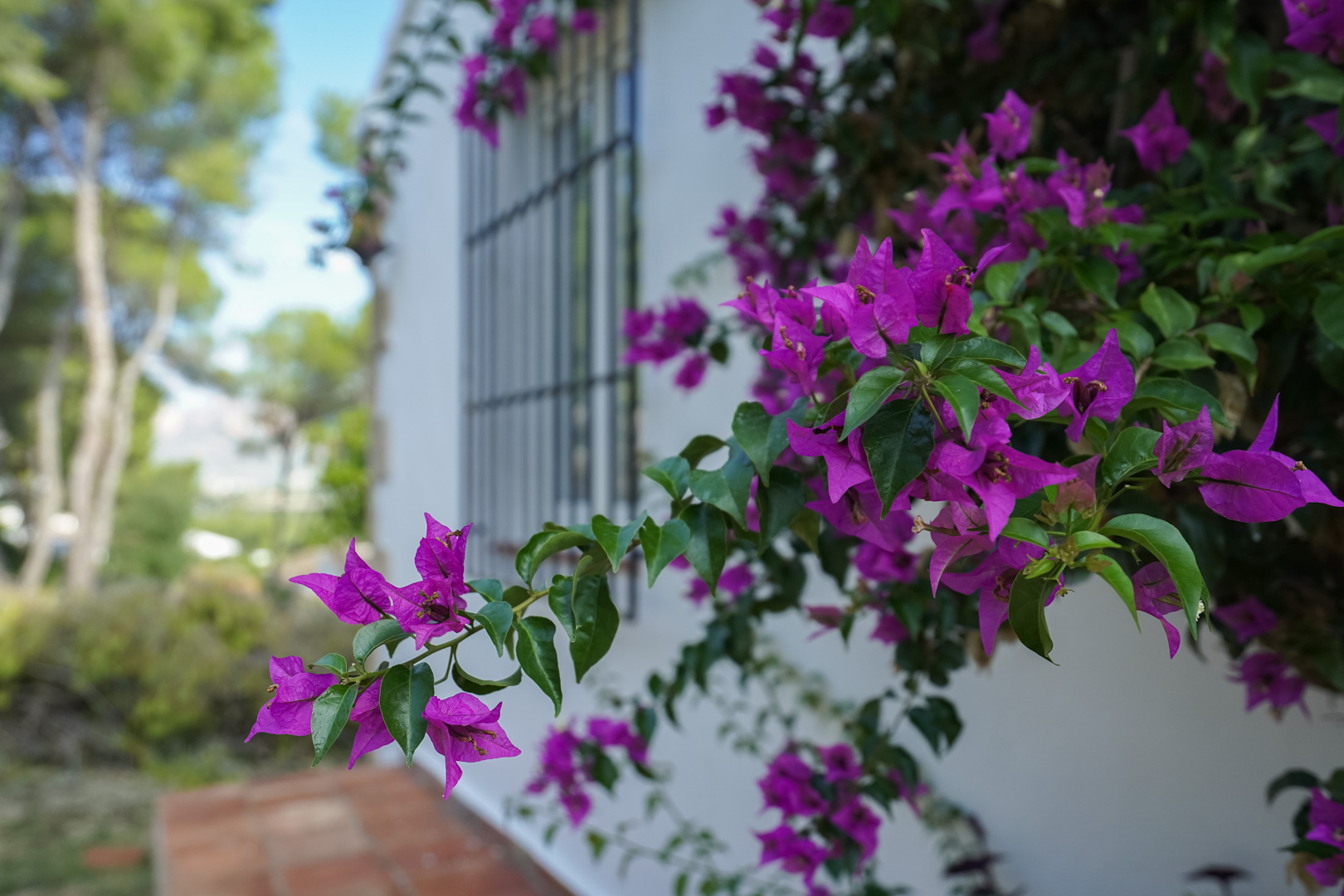 3 Bed, 2 Bath, HouseFor Sale, Javea, Alicante 3 Bed, 2 Bath, HouseFor Sale, Javea, Alicante
