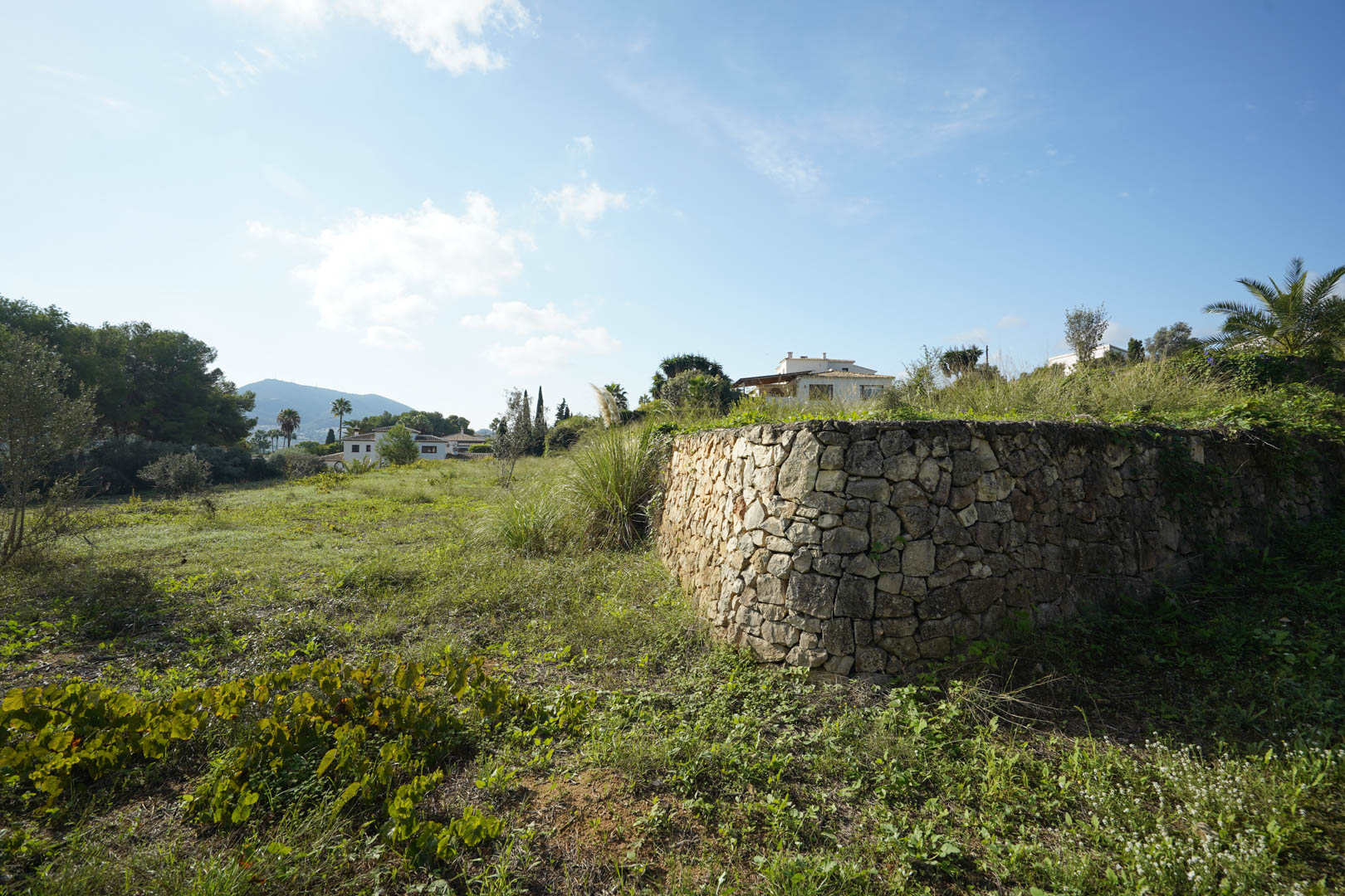 Land, For Sale Land, For Sale
