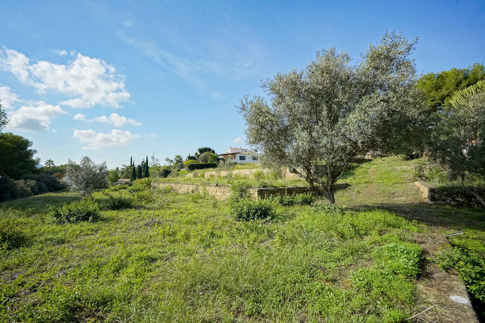 Land, For Sale Land, For Sale
