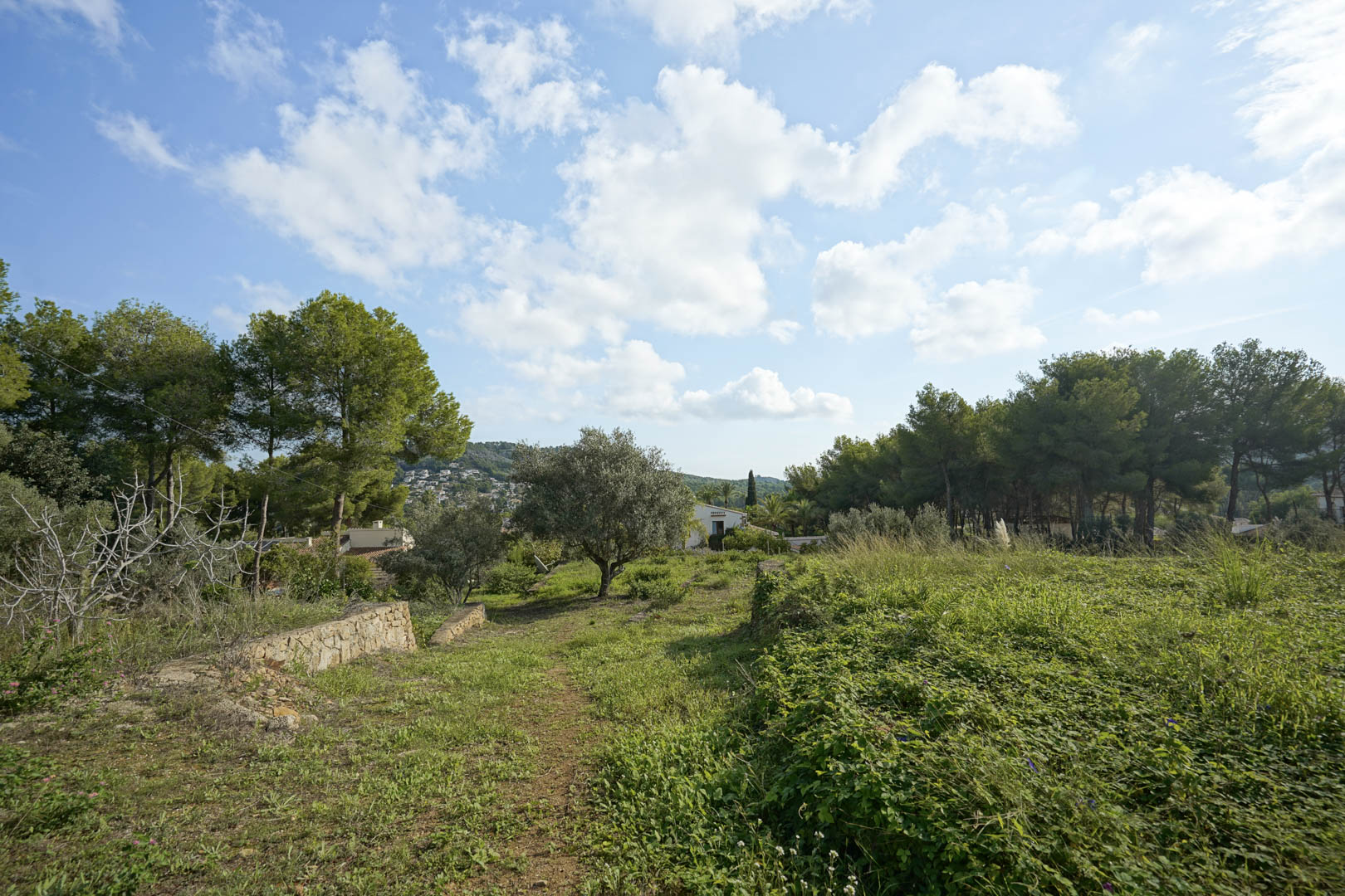 Land, For Sale Land, For Sale