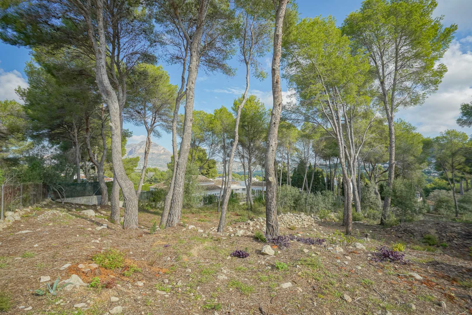 Land, For Sale Land, For Sale