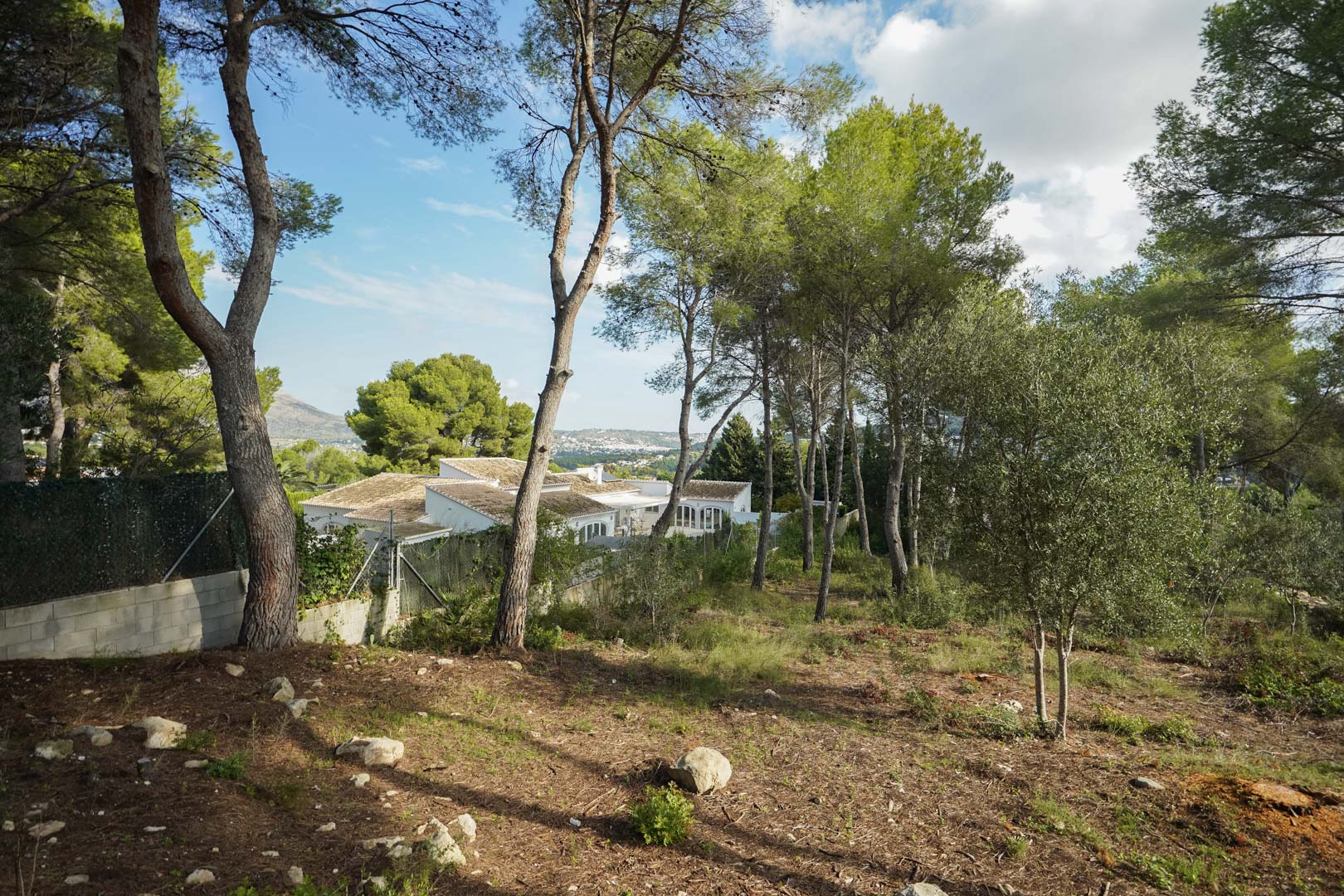 Land, For Sale Land, For Sale
