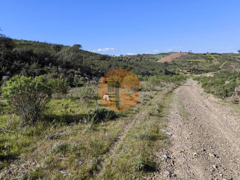 Land, For Sale Land, For Sale