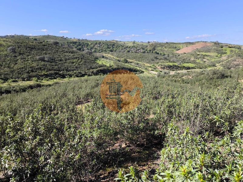 Land, For Sale Land, For Sale