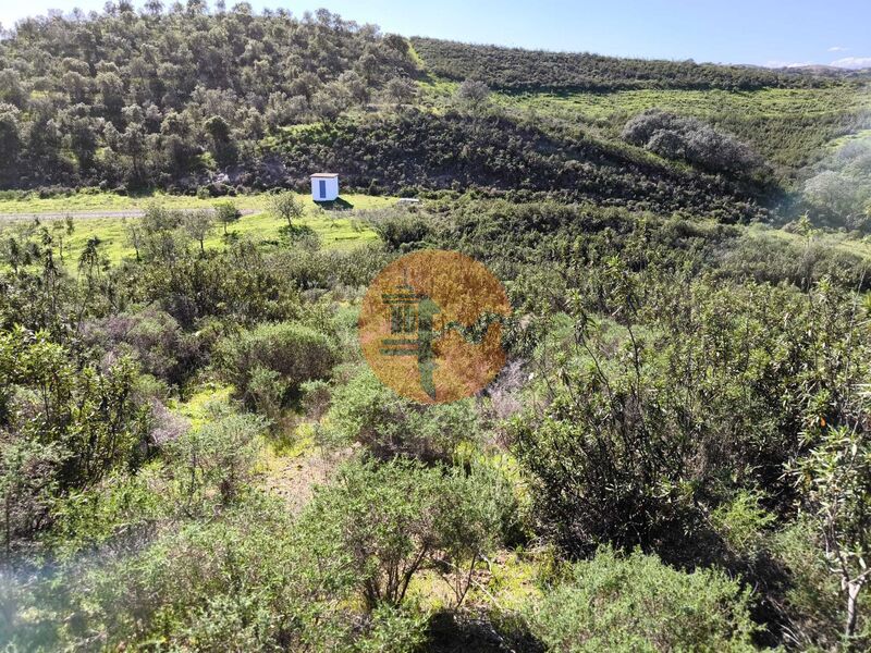 Land, For Sale Land, For Sale