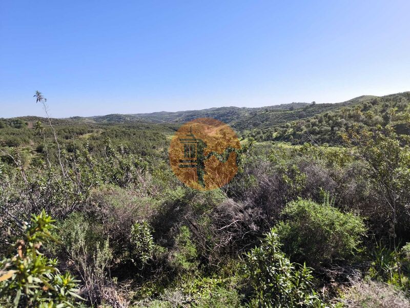 Land, For Sale Land, For Sale