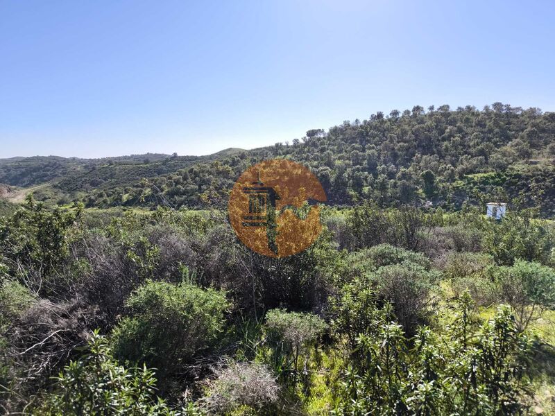 Land, For Sale Land, For Sale