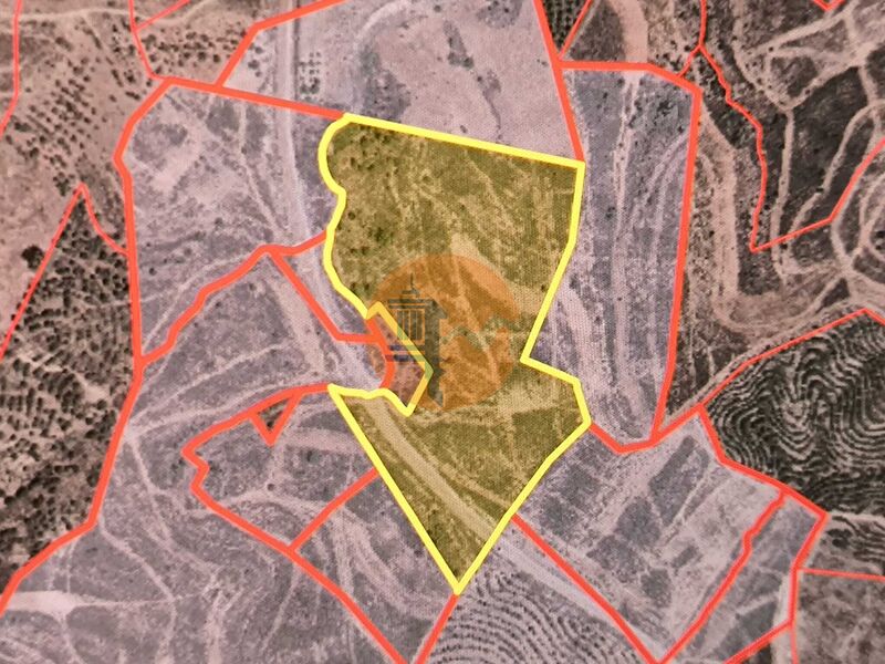 Land, For Sale Land, For Sale
