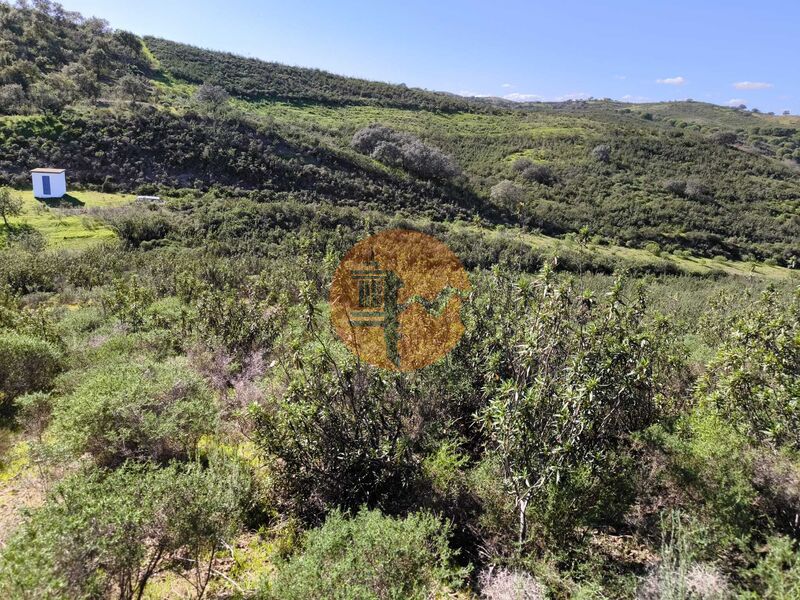Land, For Sale Land, For Sale