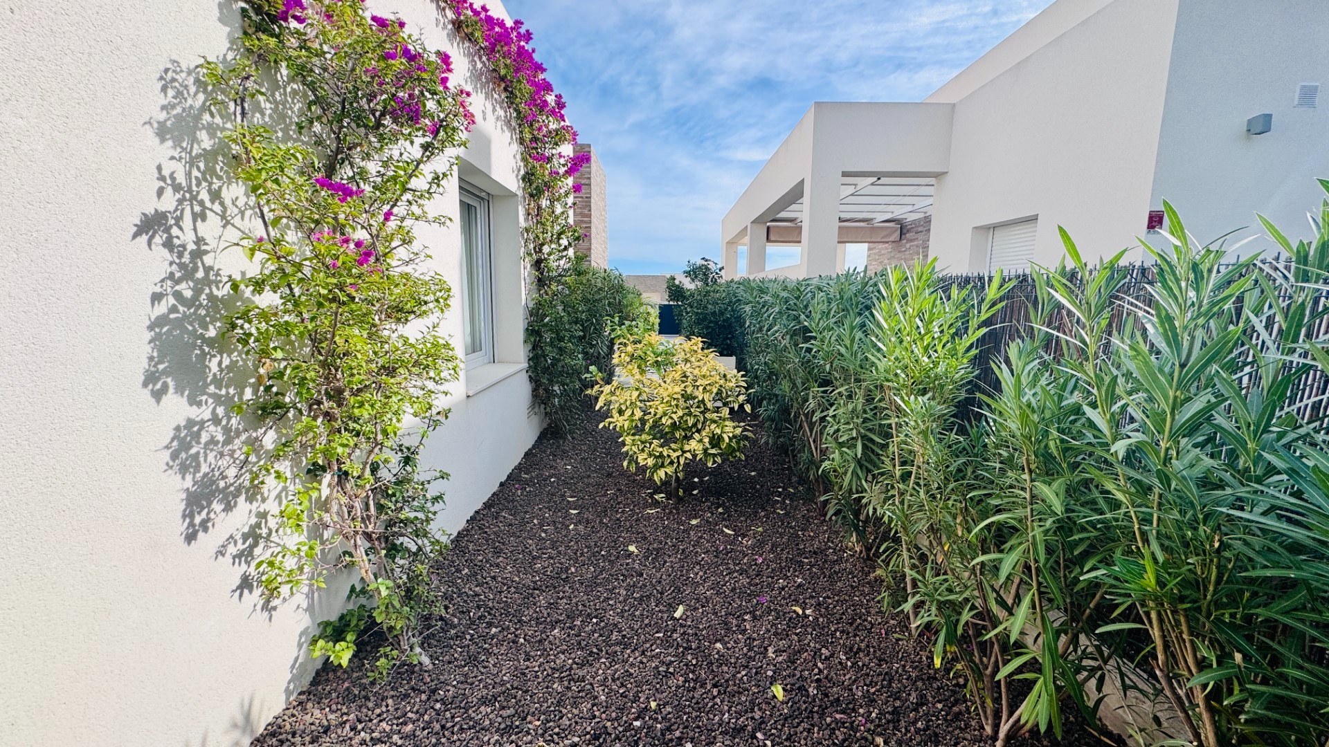 2 Bed, 2 Bath, HouseFor Sale, Algorfa, Alicante 2 Bed, 2 Bath, HouseFor Sale, Algorfa, Alicante