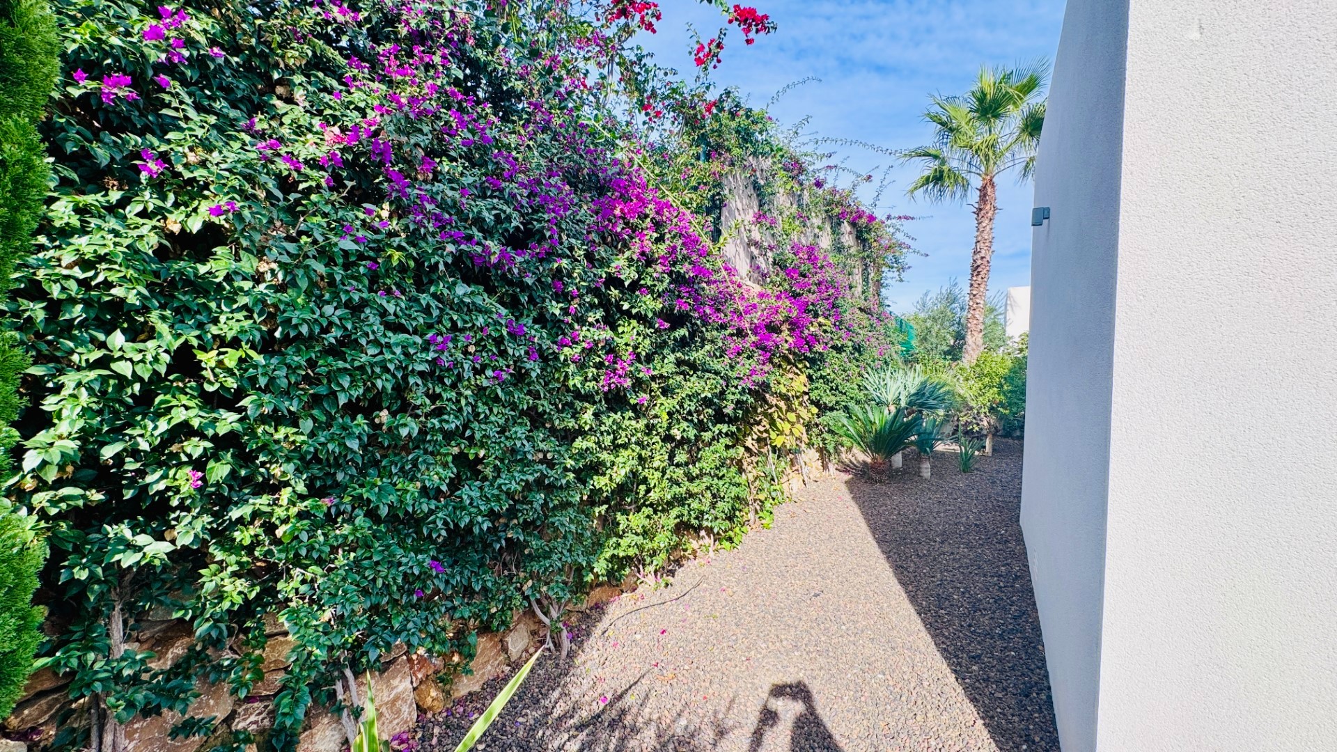 2 Bed, 2 Bath, HouseFor Sale, Algorfa, Alicante 2 Bed, 2 Bath, HouseFor Sale, Algorfa, Alicante