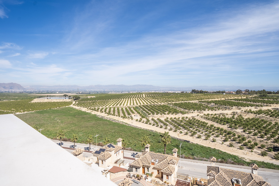 3 Bed, 2 Bath, HouseFor Sale, Algorfa, Alicante 3 Bed, 2 Bath, HouseFor Sale, Algorfa, Alicante