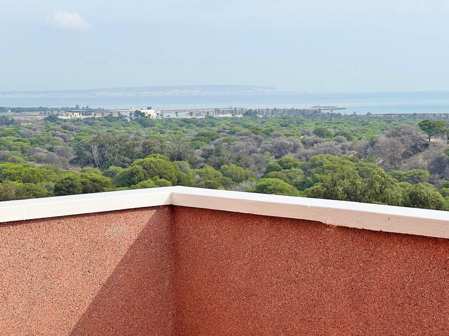 2 Bed, 1 Bath, ApartmentFor Sale, Guardamar Del Segura, Alicante