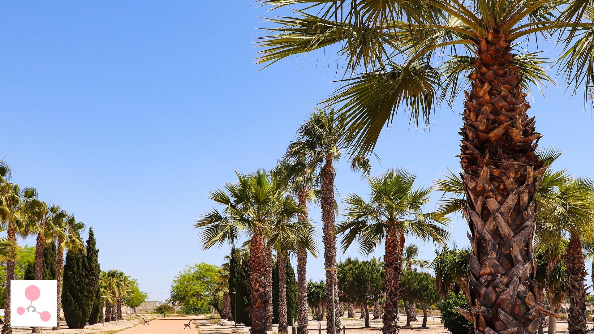 4 Bed, 4 Bath, HouseFor Sale, San Fulgencio, Alicante