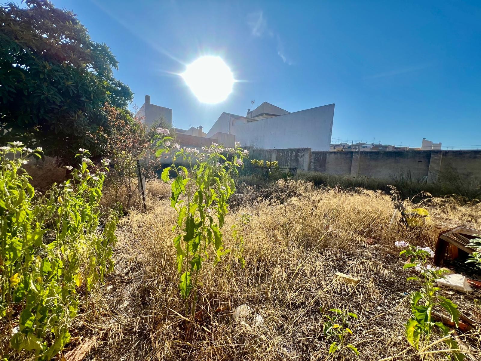 6 Bed, 1 Bath, HouseFor Sale, Pinoso, Alicante 6 Bed, 1 Bath, HouseFor Sale, Pinoso, Alicante