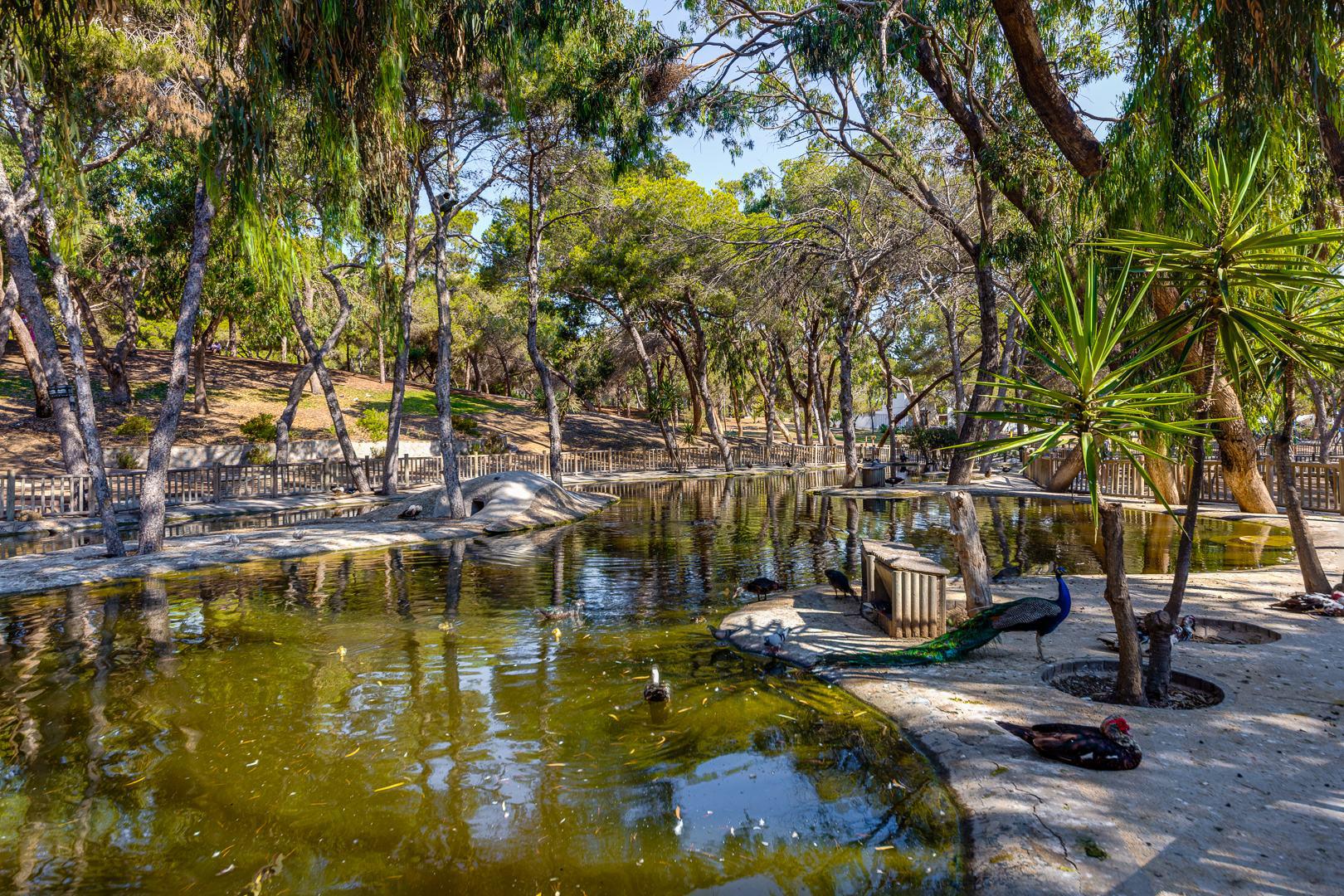 2 Bed, 2 Bath, ApartmentFor Sale, Guardamar Del Segura, Alicante 2 Bed, 2 Bath, ApartmentFor Sale, Guardamar Del Segura, Alicante