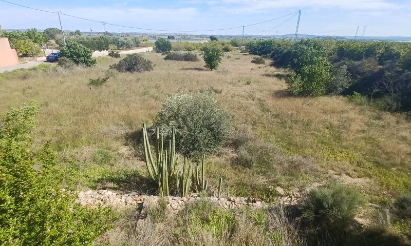 3 Bed, 1 Bath, HouseFor Sale, Albatera, Alicante