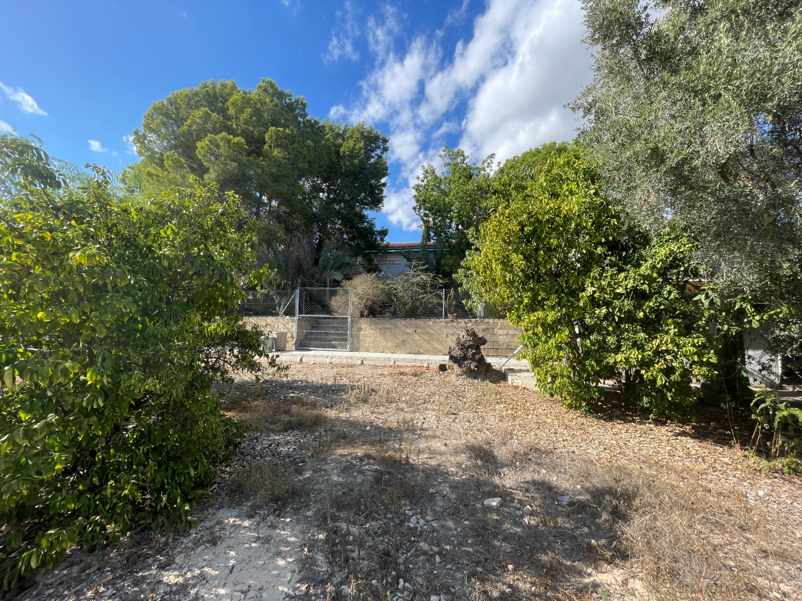 3 Bed, 1 Bath, HouseFor Sale, Albatera, Alicante