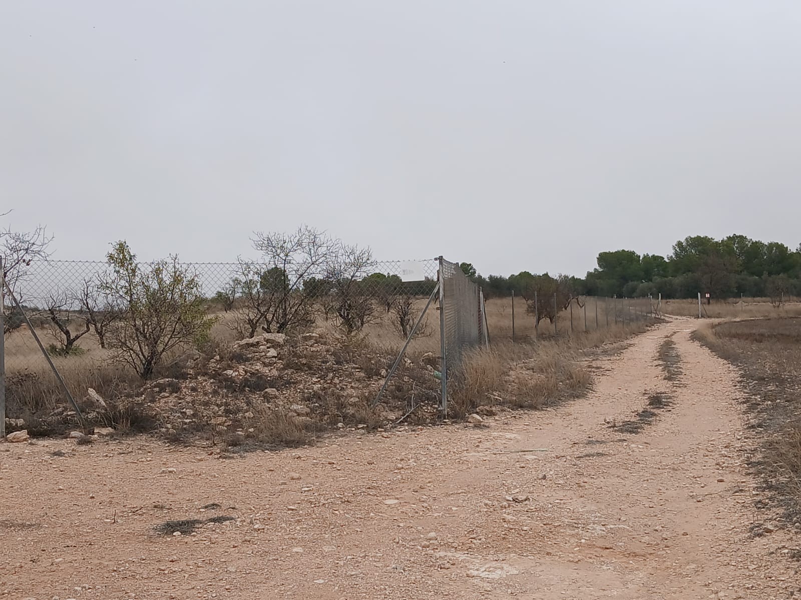 3 Bed, 1 Bath, HouseFor Sale, Yecla, Murcia