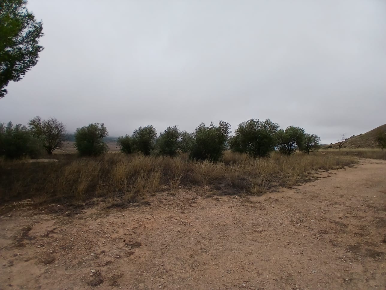 3 Bed, 1 Bath, HouseFor Sale, Yecla, Murcia