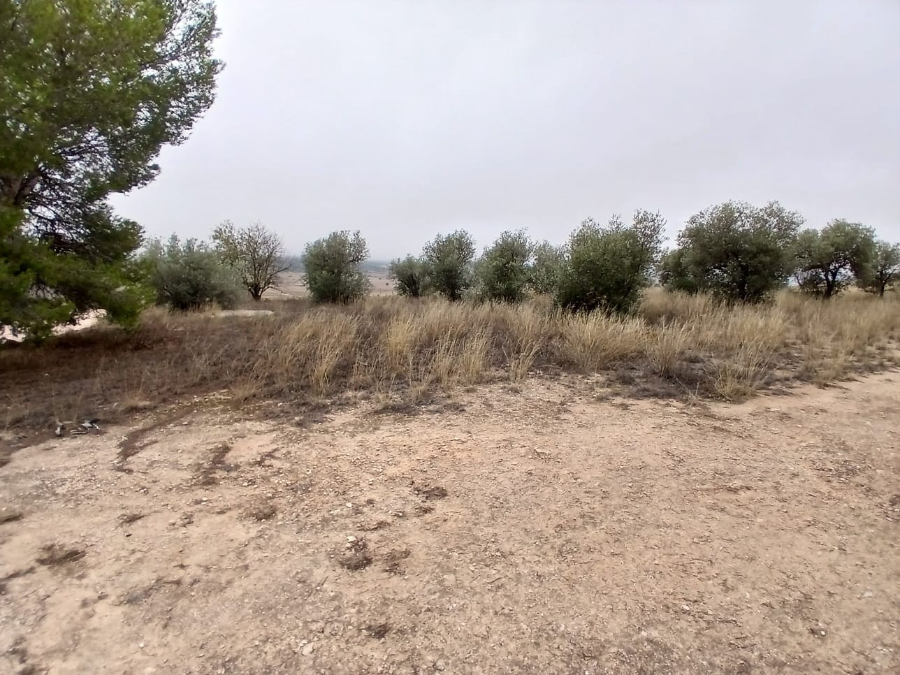 3 Bed, 1 Bath, HouseFor Sale, Yecla, Murcia