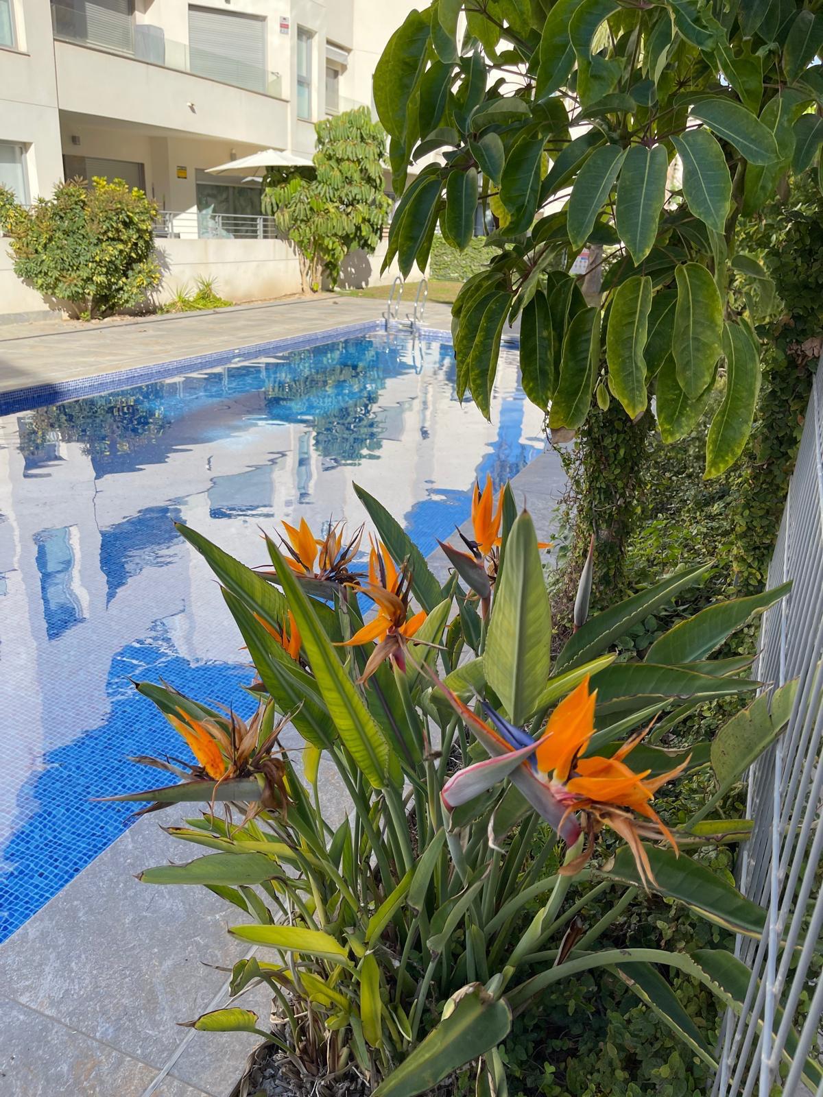 2 Bed, 2 Bath, HouseFor Sale, Torrevieja, Alicante