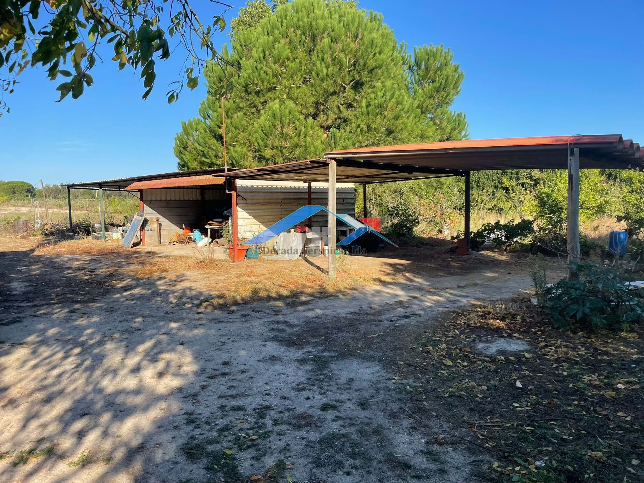 4 Bed, 2 Bath, HouseFor Sale, Coruche, Santarém, 2100-604 4 Bed, 2 Bath, HouseFor Sale, Coruche, Santarém, 2100-604