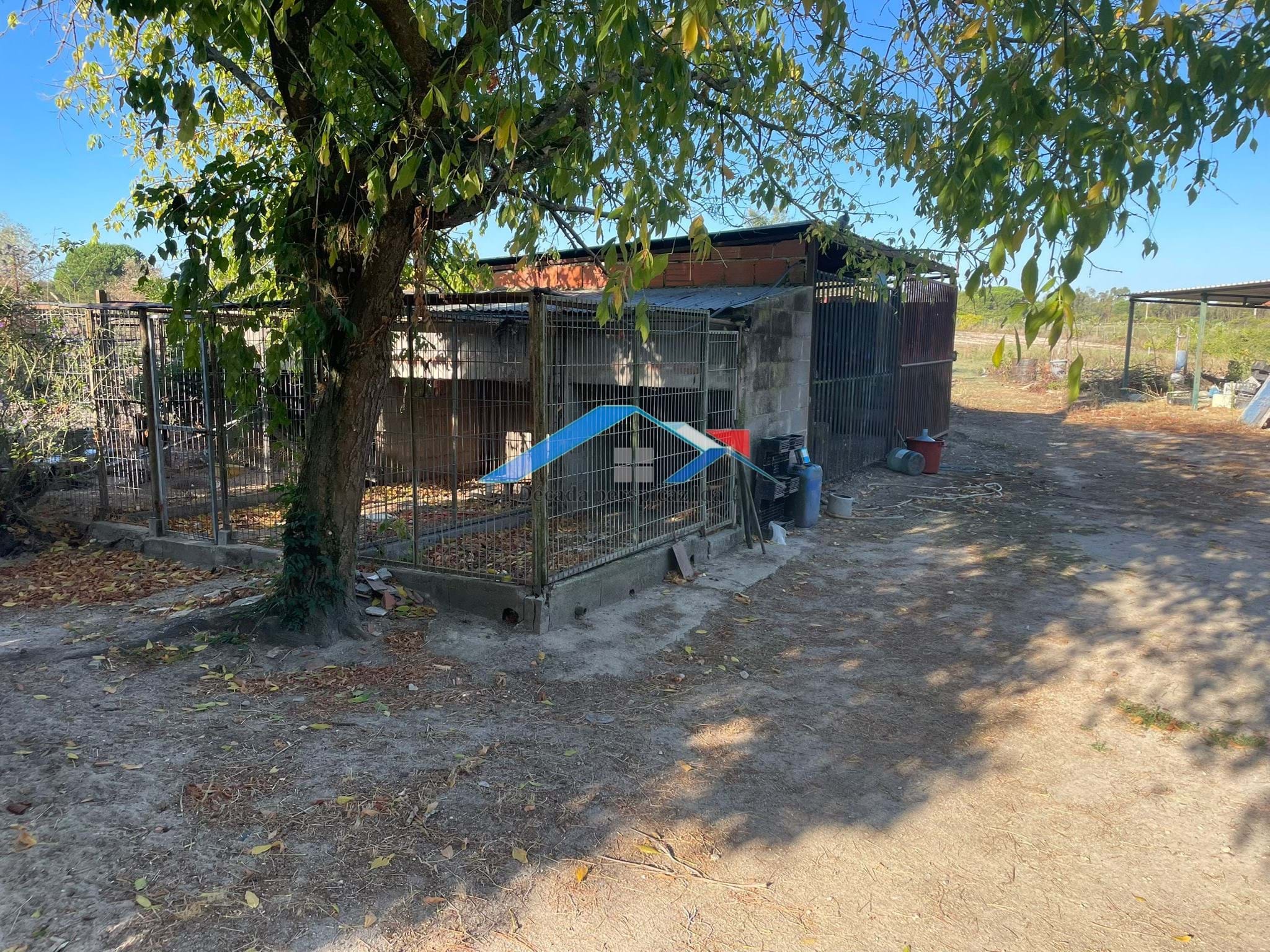 4 Bed, 2 Bath, HouseFor Sale, Coruche, Santarém, 2100-604 4 Bed, 2 Bath, HouseFor Sale, Coruche, Santarém, 2100-604