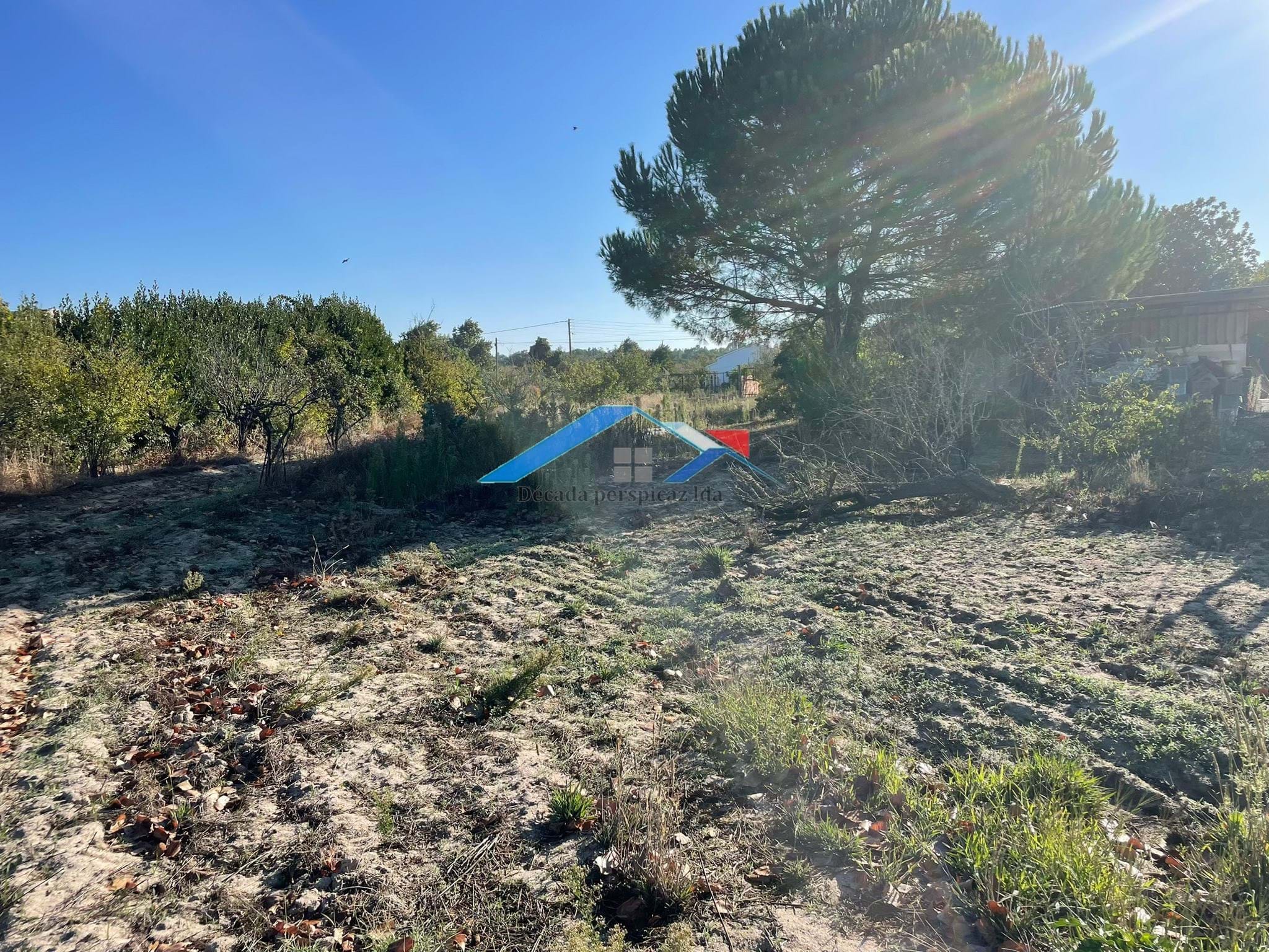 4 Bed, 2 Bath, HouseFor Sale, Coruche, Santarém, 2100-604 4 Bed, 2 Bath, HouseFor Sale, Coruche, Santarém, 2100-604