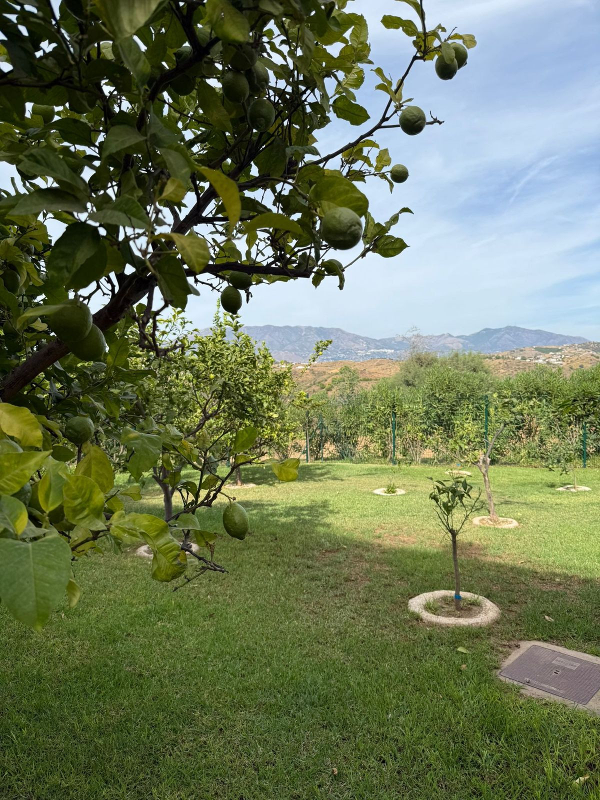 2 Bed, 2 Bath, ApartmentFor Sale, La Cala de Mijas, Malaga