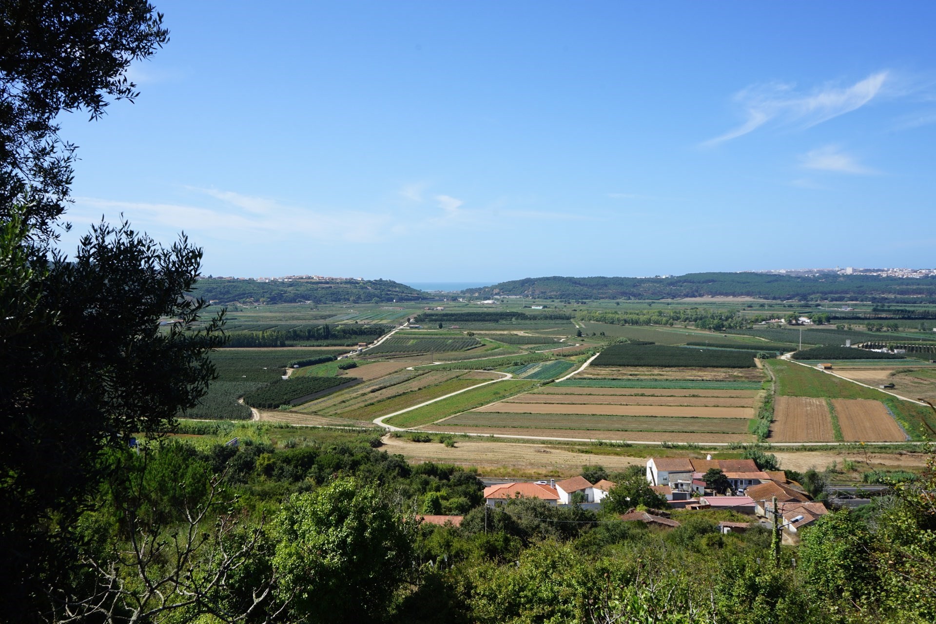 3 Bed, 2 Bath, HouseFor Sale, Alcobaça, Leiria, 2460-348