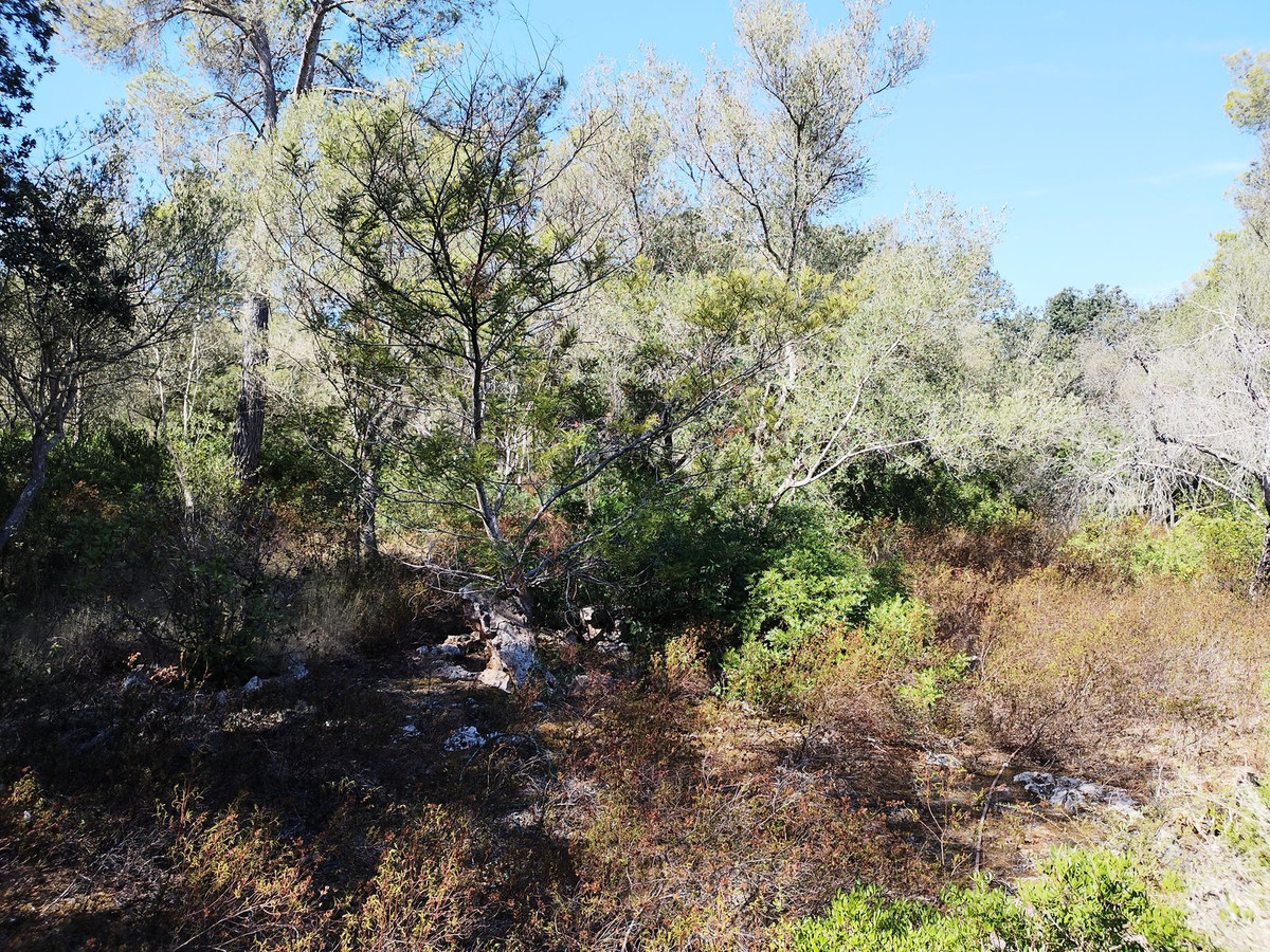 1 Bed, 1 Bath, HouseFor Sale, Sencelles, Islas Baleares 1 Bed, 1 Bath, HouseFor Sale, Sencelles, Islas Baleares