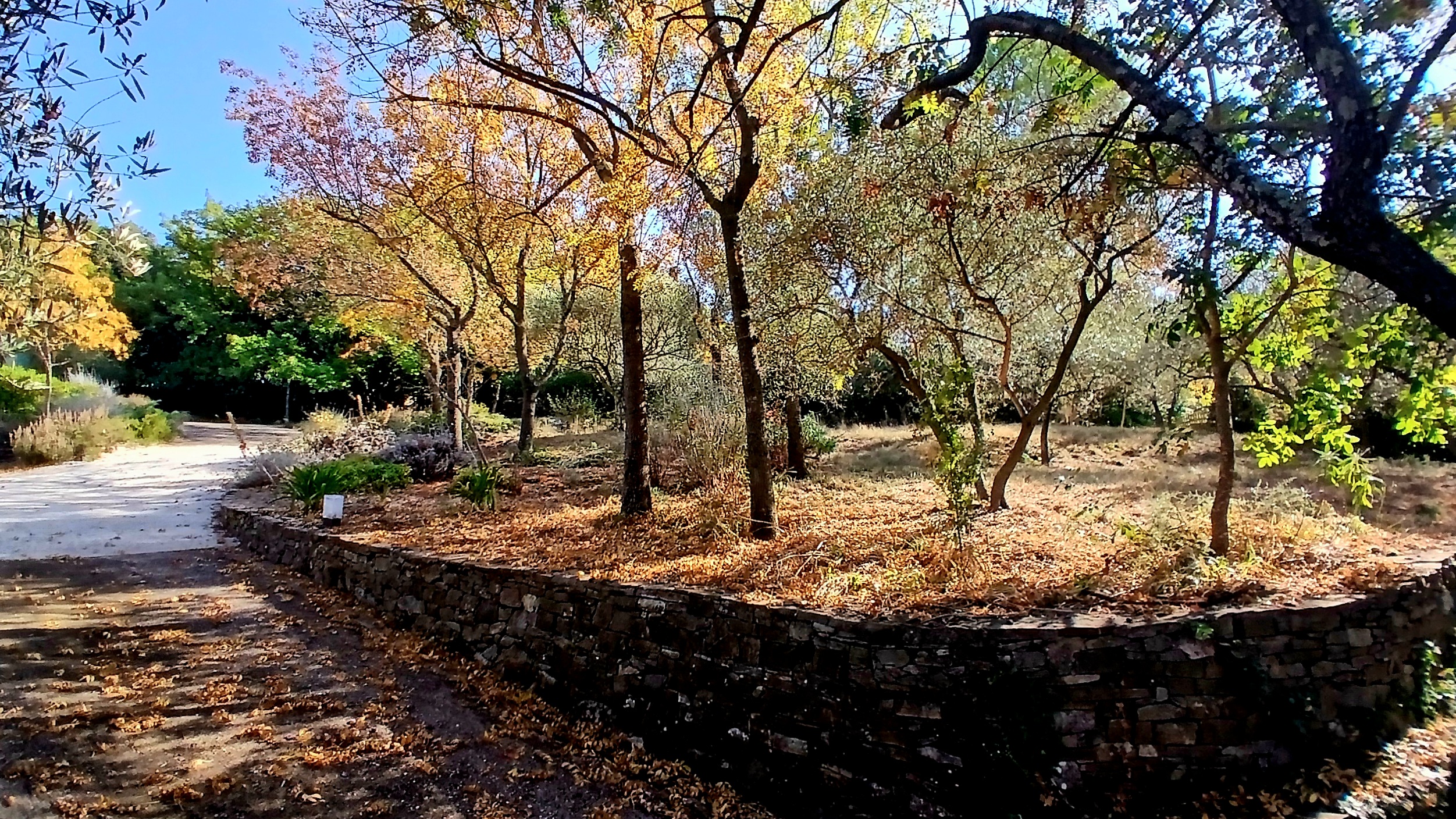 5 Bed, 1 Bath, HouseFor Sale, Lodeve, Herault, Languedoc-Roussillon, 34700