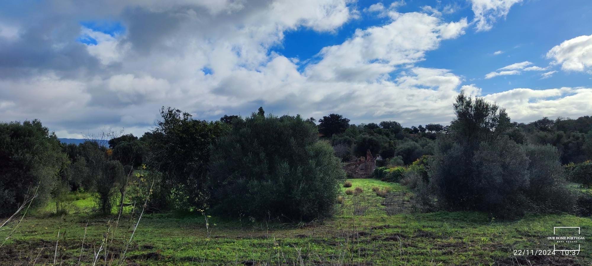 Land, For Sale Land, For Sale