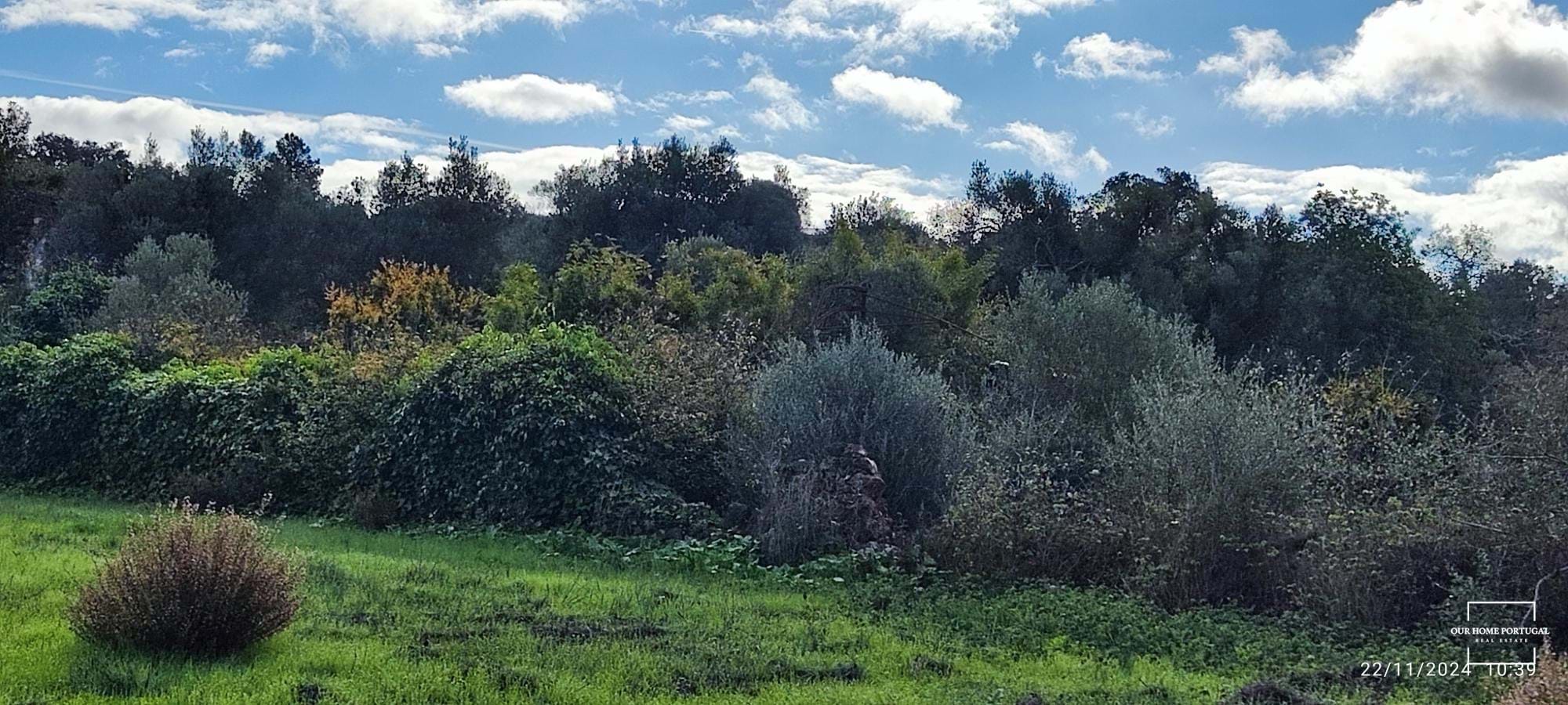 Land, For Sale Land, For Sale