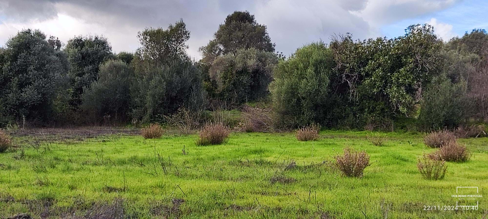 Land, For Sale Land, For Sale