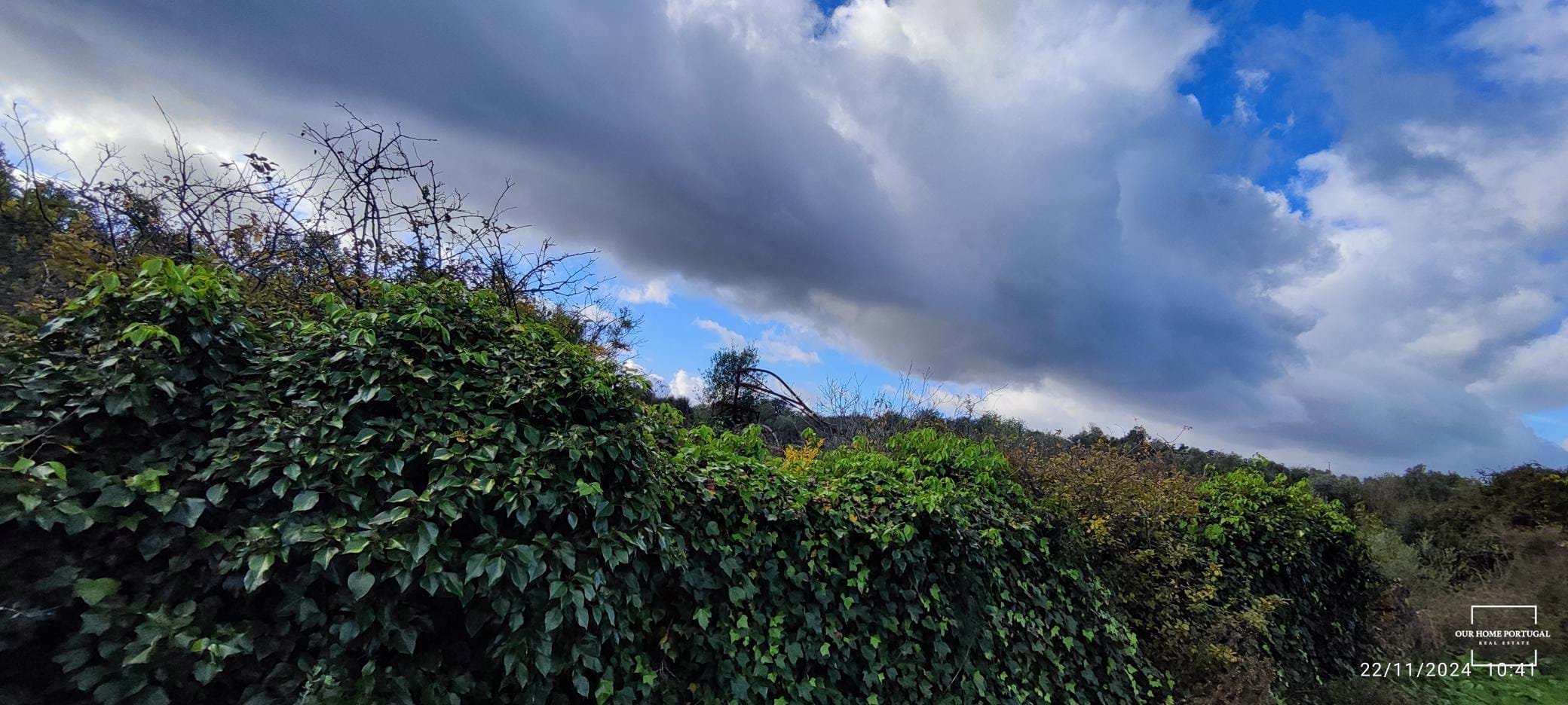 Land, For Sale Land, For Sale