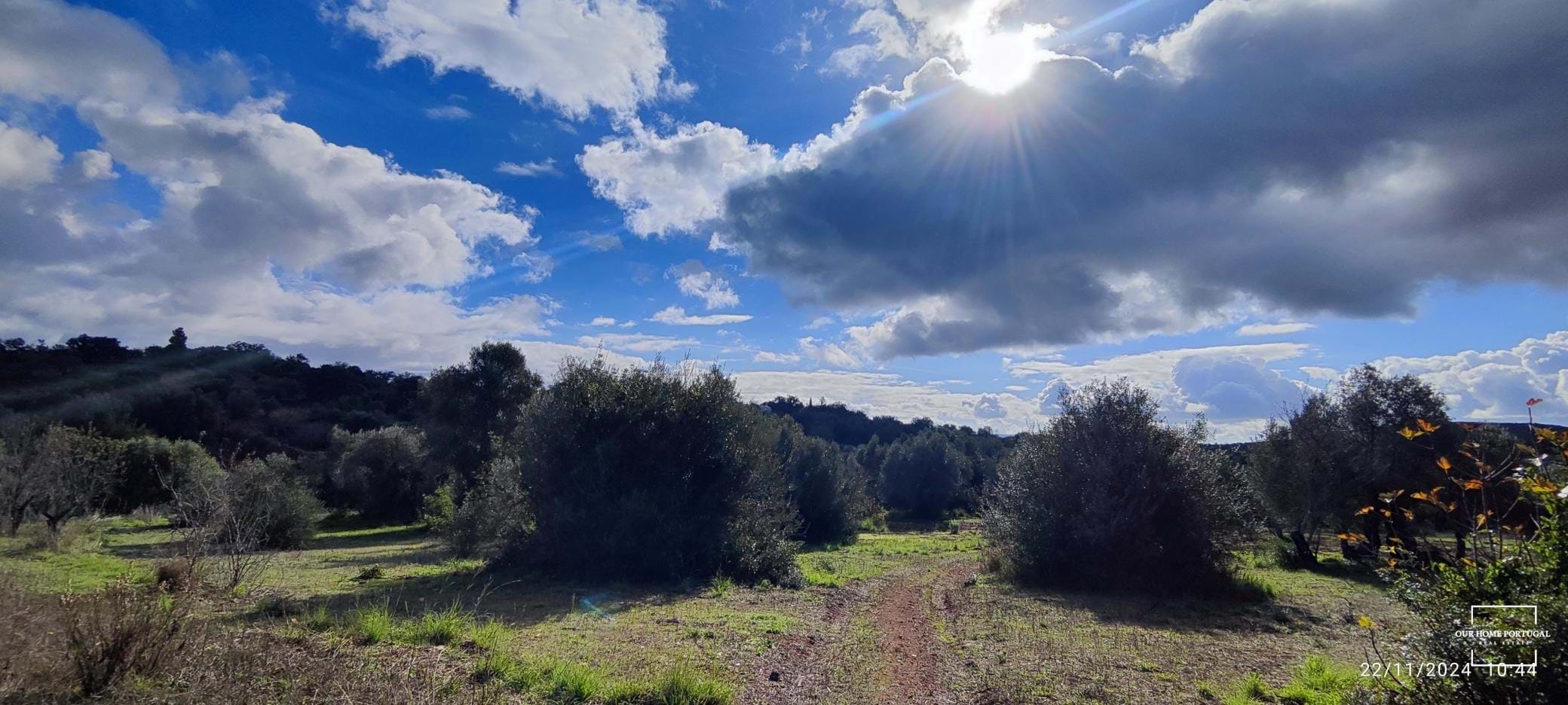 Land, For Sale Land, For Sale