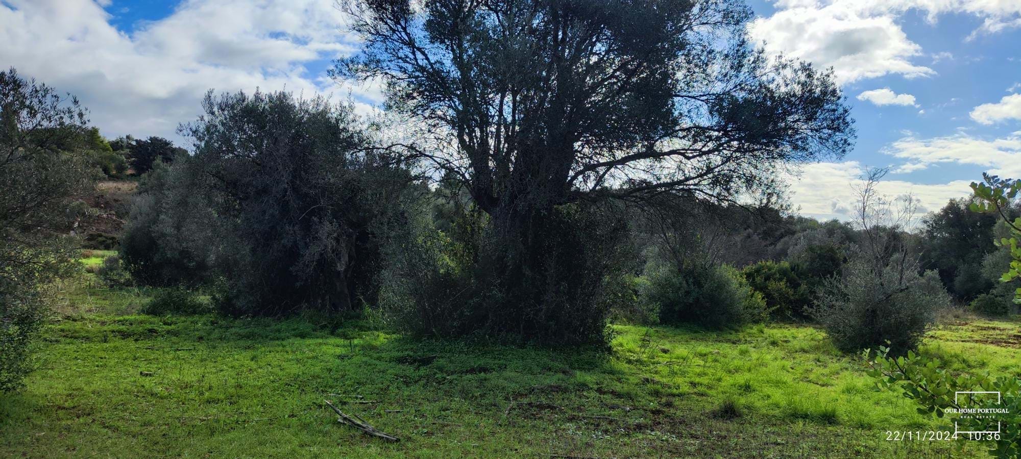 Land, For Sale Land, For Sale