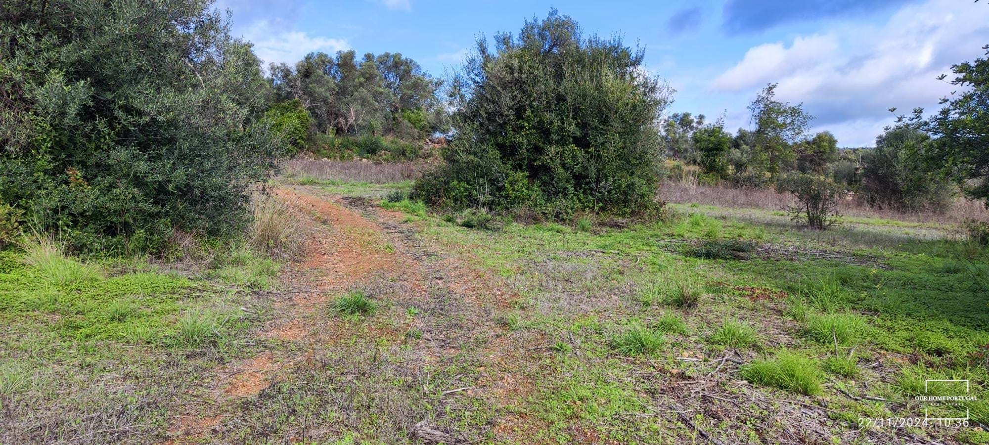 Land, For Sale Land, For Sale