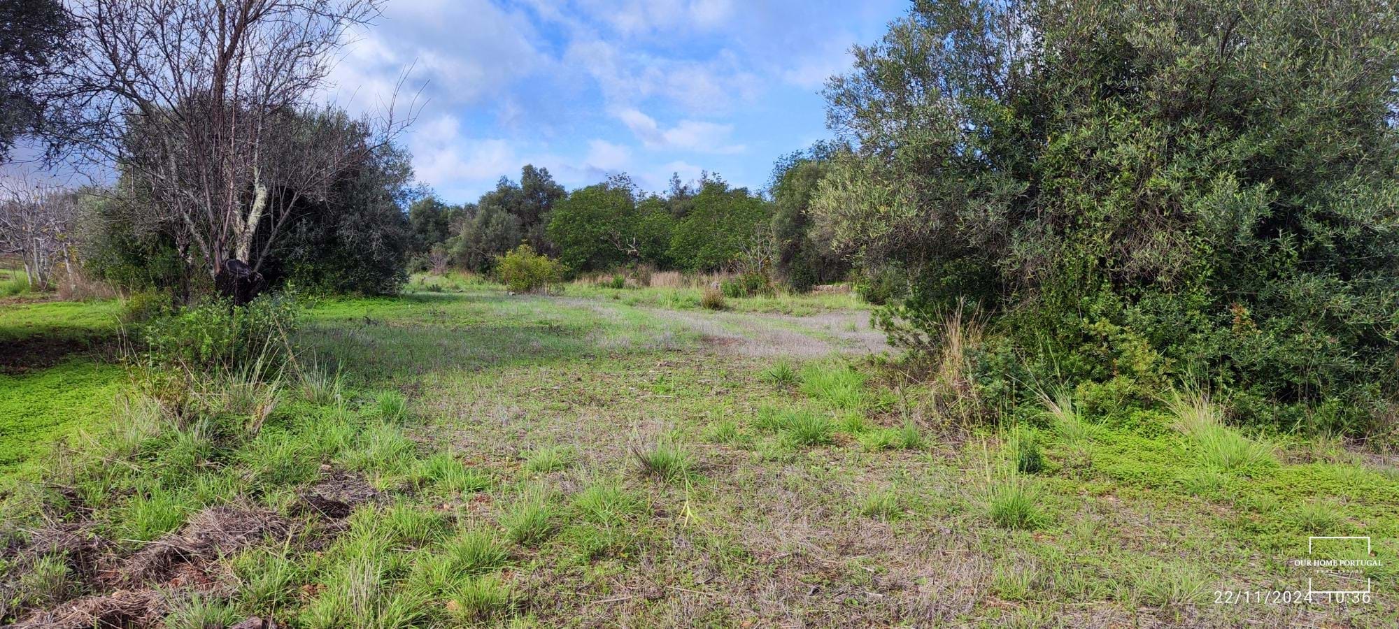 Land, For Sale Land, For Sale