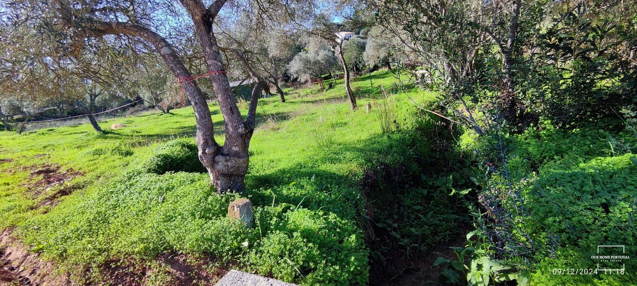 Land, For Sale Land, For Sale