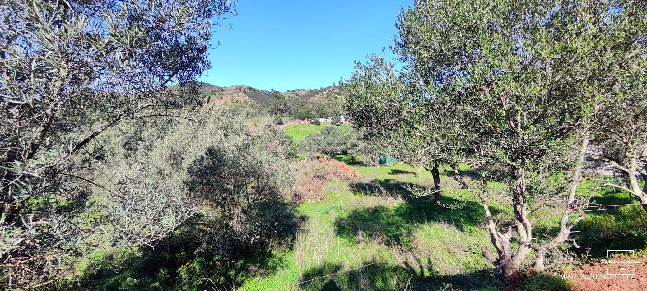 Land, For Sale Land, For Sale